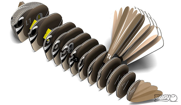 EUGY 3D Fantail | Kitset Model