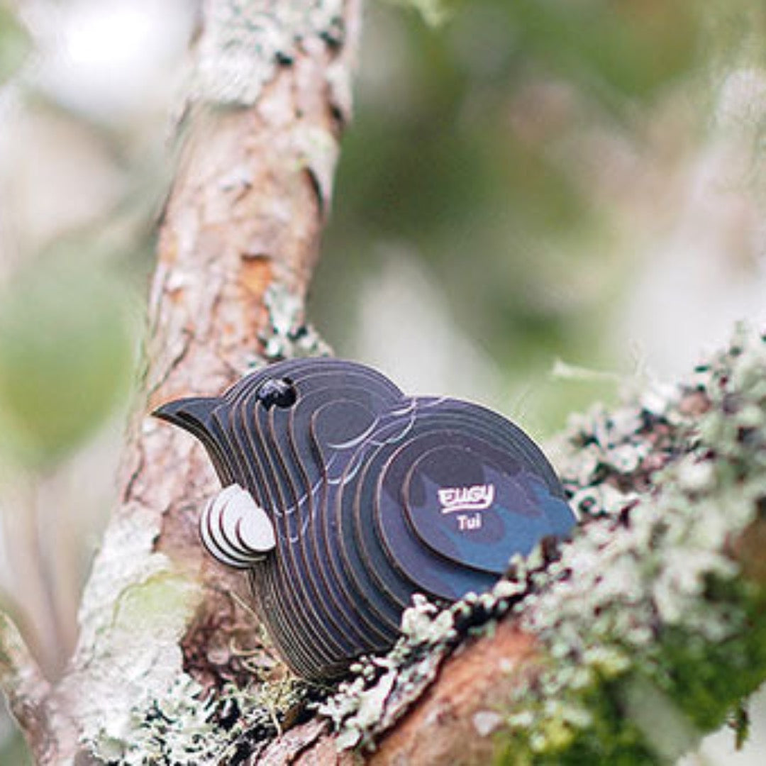 EUGY 3D Tūī | Kitset Model