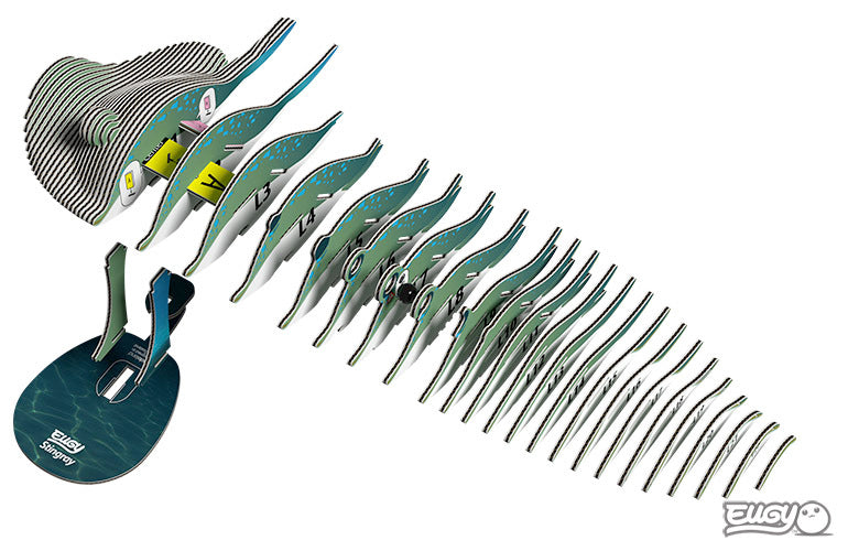 EUGY 3D Stingray | Kitset Model