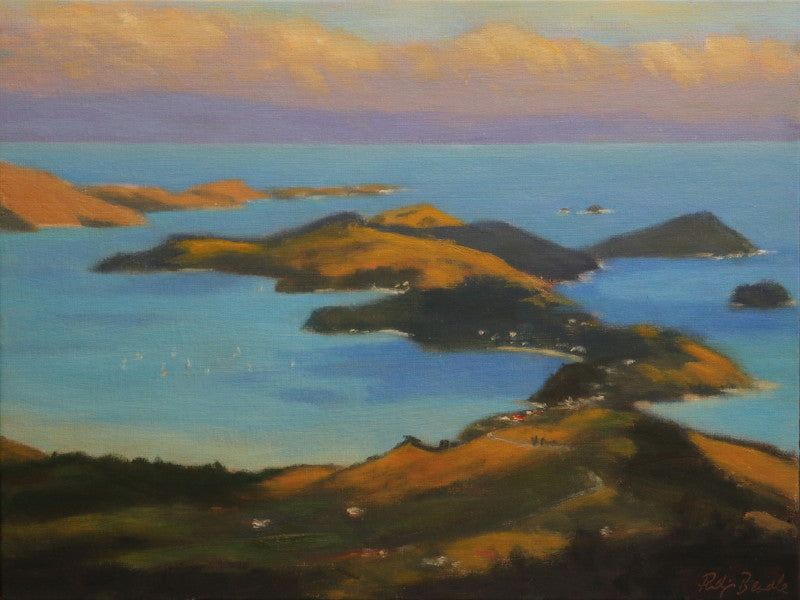 Ruffin Peninsula and Whanganui Island, Coromandel