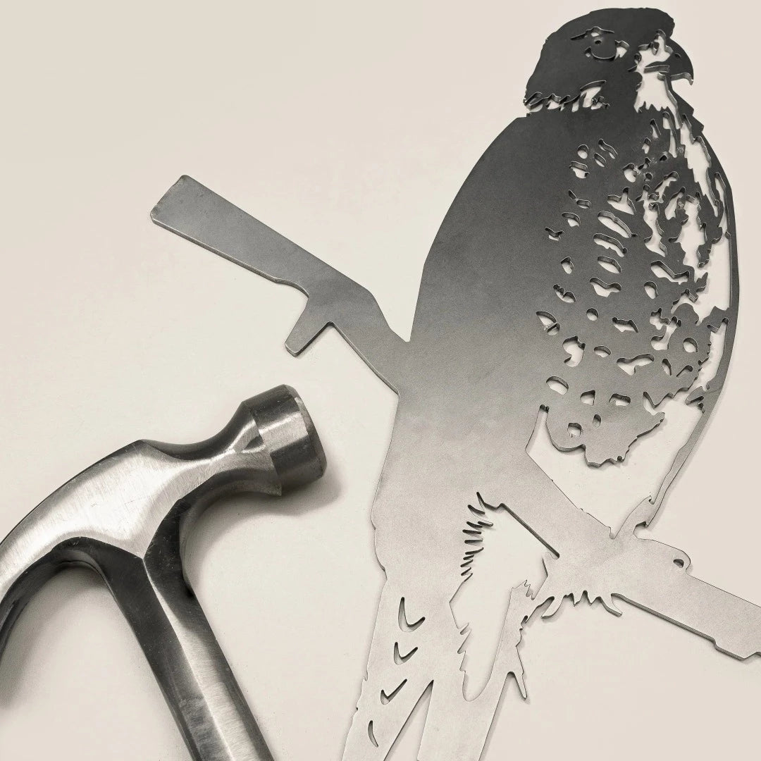 Karearea | New Zealand Falcon Metalbird