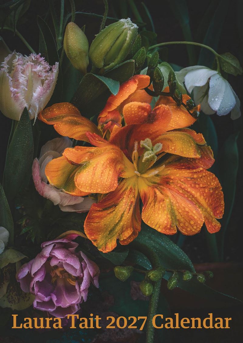 2027 Wall Calendar | Laura Tait