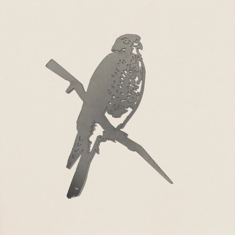 Karearea | New Zealand Falcon Metalbird