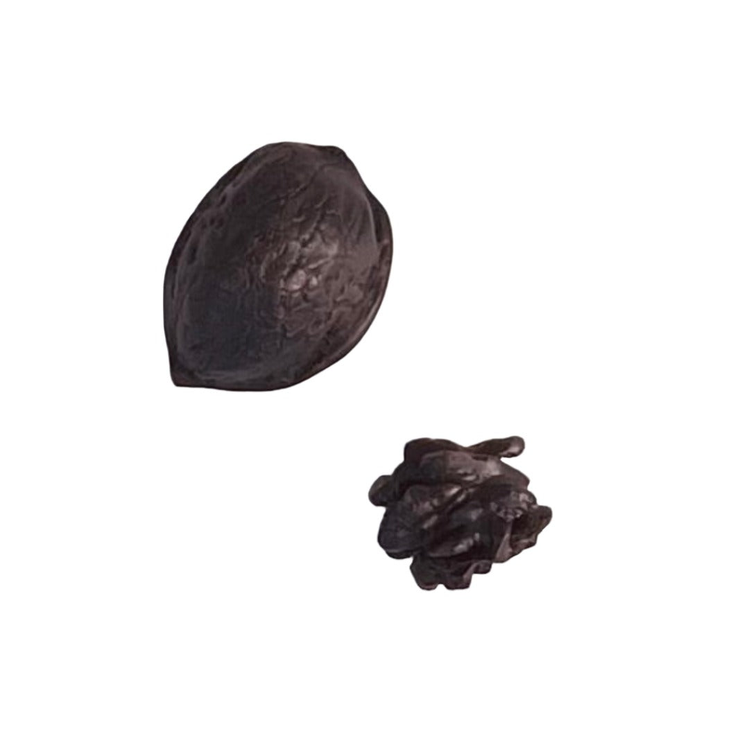 Half Walnut Shell With Nut | Cast Bronze