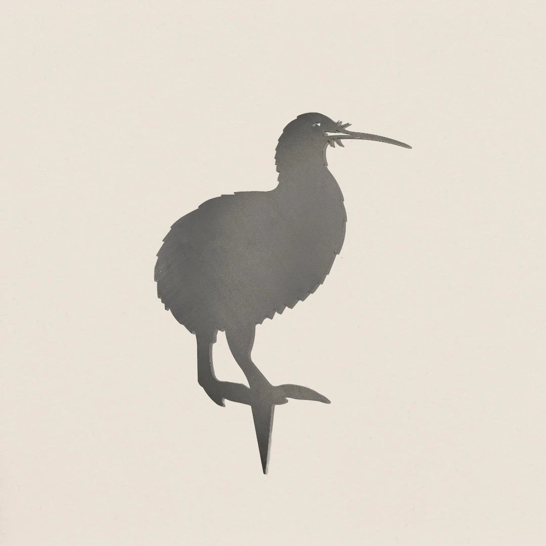 Brown Kiwi Metalbird