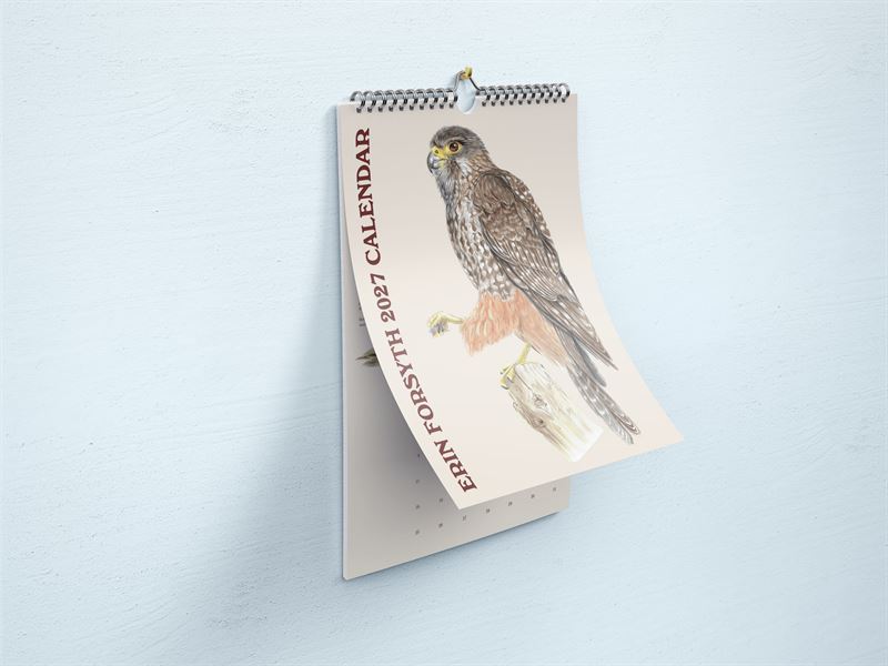 2027 Wall Calendar | Erin Forsyth