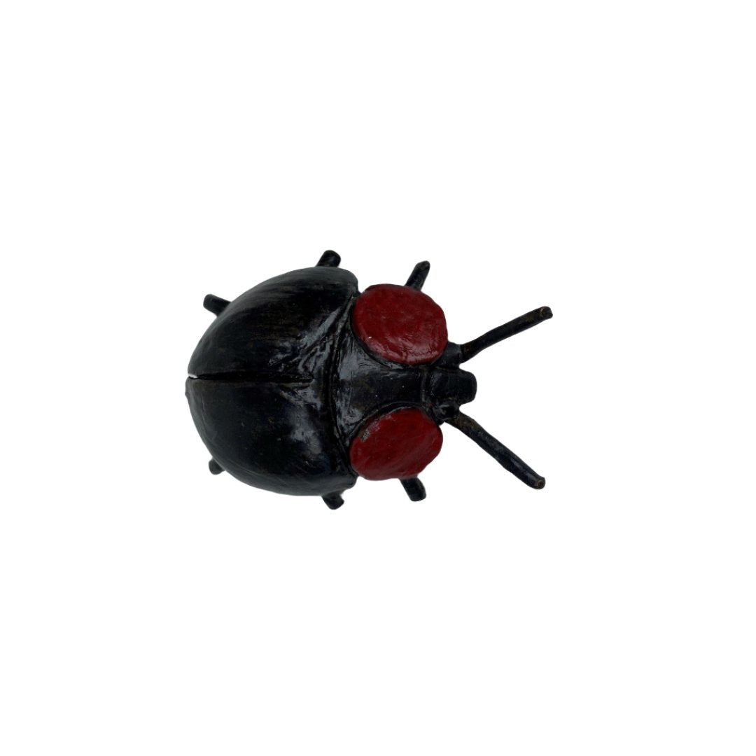 Bronze Beetle