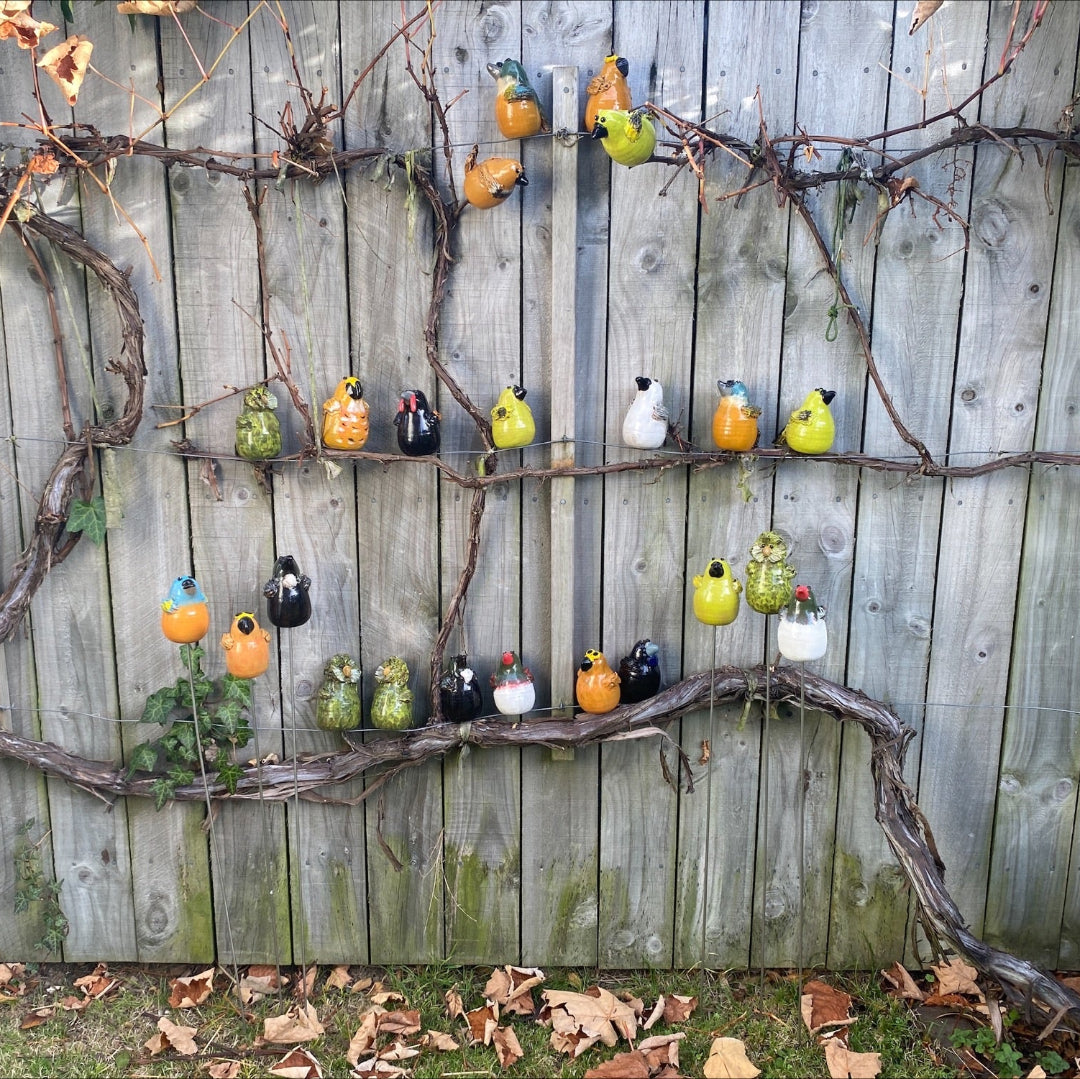 Vine with no leaves and small ceramic birds all over it against a wooden fence.