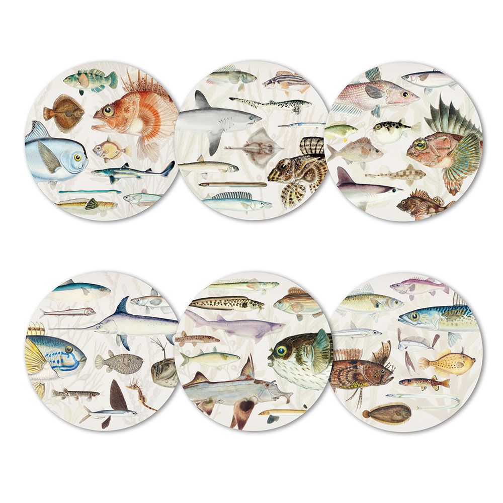 Fishes Of NZ Placemats | Boxed Set Of 6