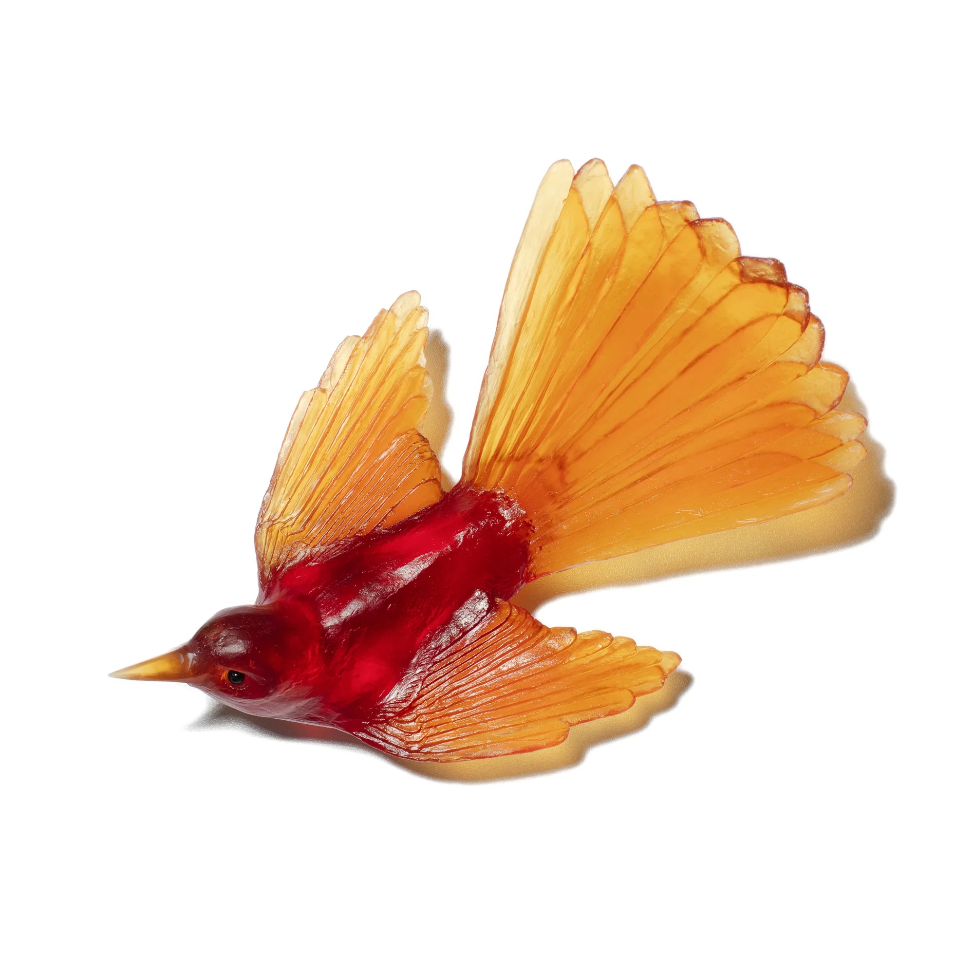 Glass Fantail