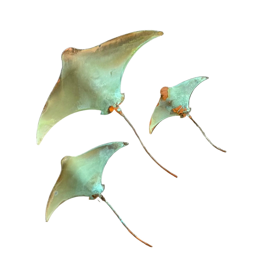 Three copper green stingrays on a white surface