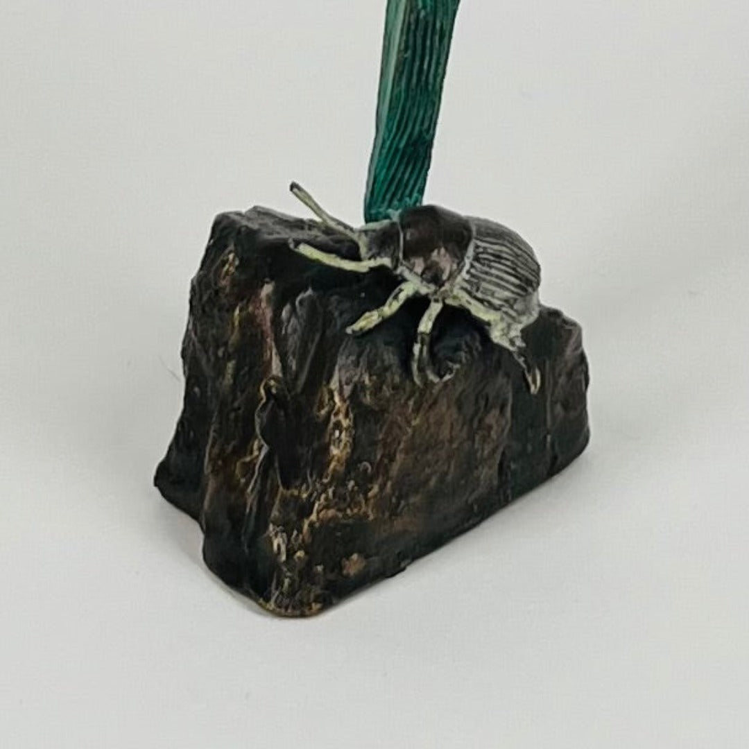 Grass Lands Beetle