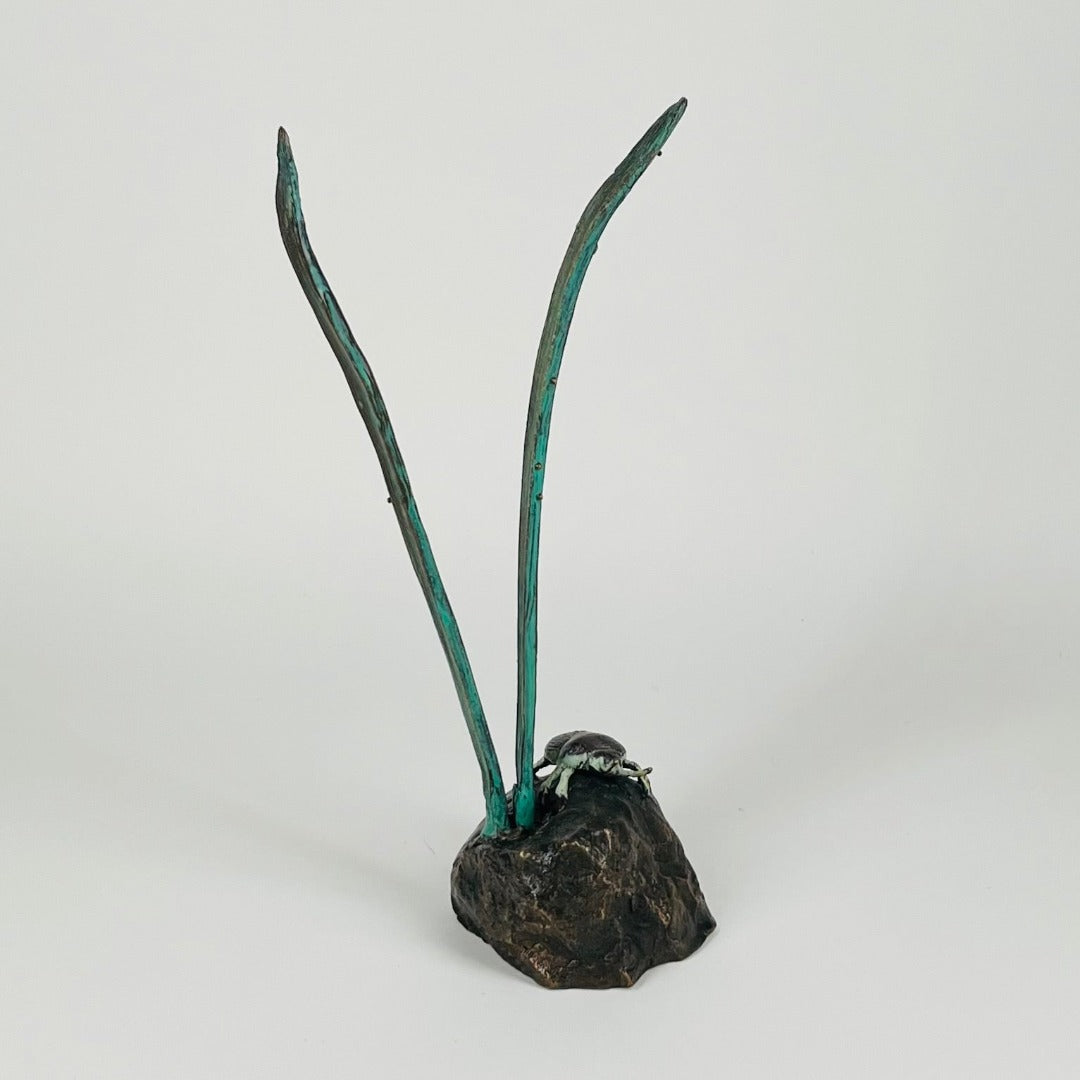 Grass Lands Beetle