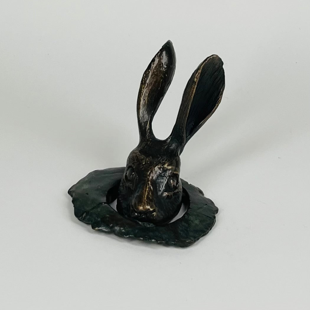 Out Of The Rabbit Hole