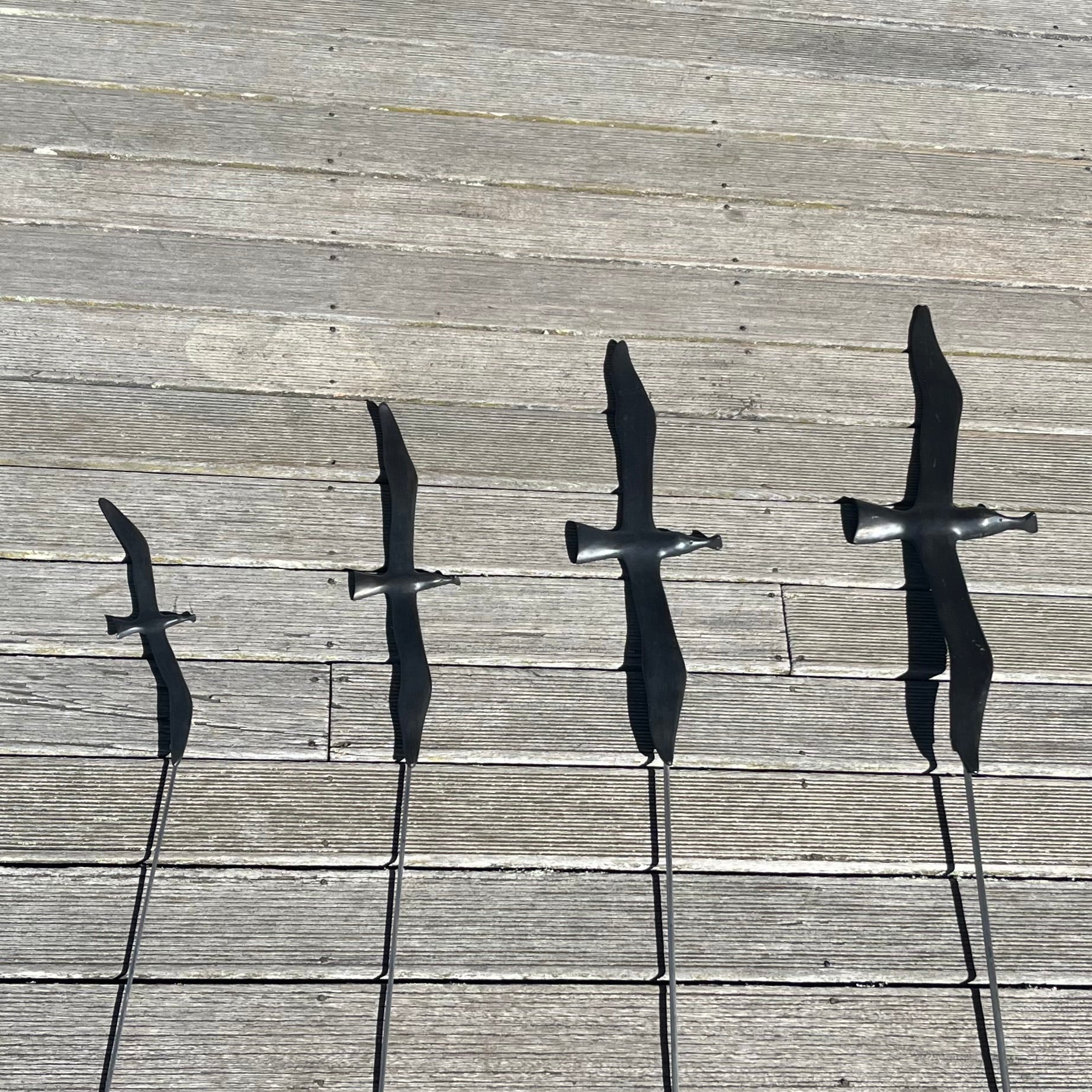Albatross On Garden Pins