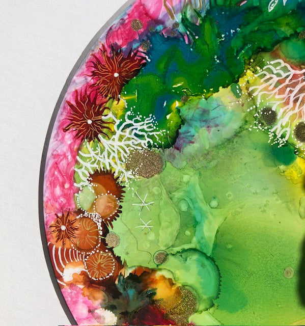 Cotton Candy Rock Pool