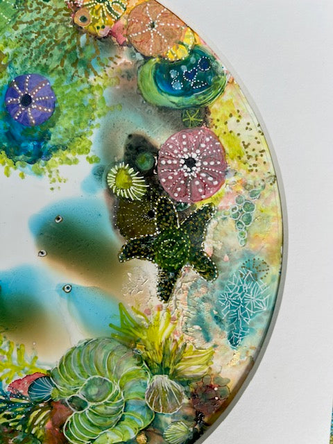 Colorful coral and sea life artwork on a white background