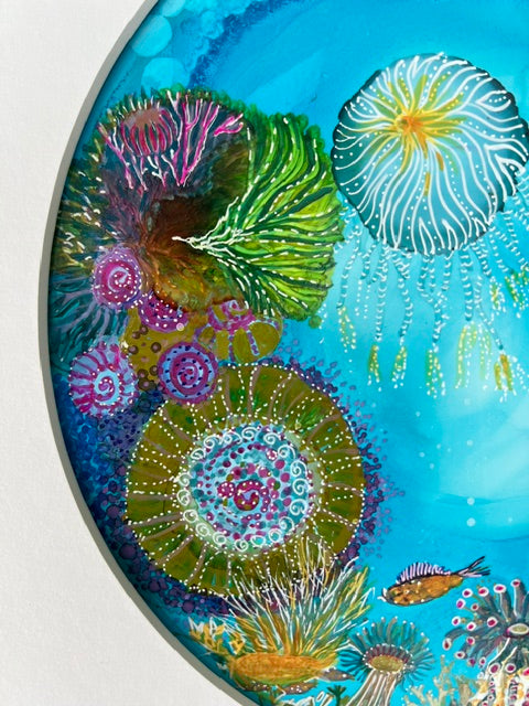 Colorful underwater scene with marine life and plants on a blue background
