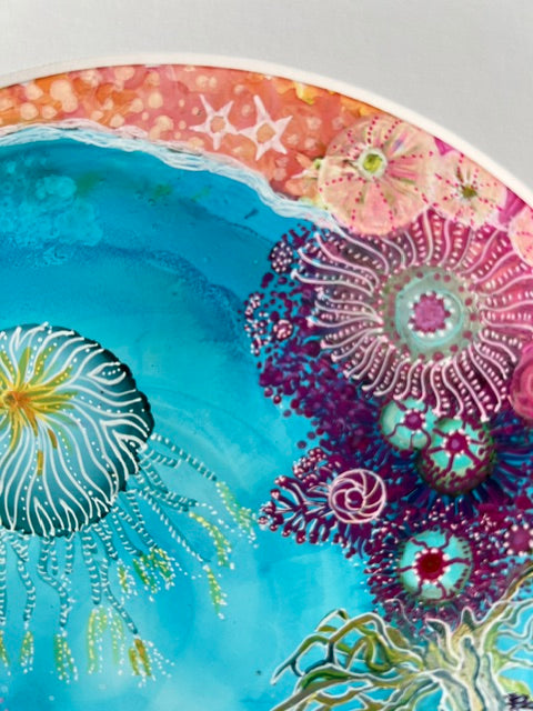 Colorful coral and marine life illustration on a plate