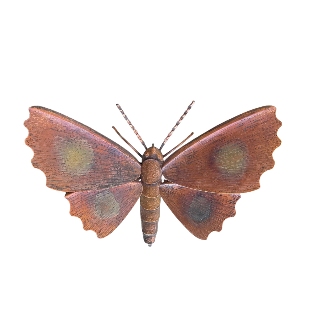 Copper Kawakawa Looper Moth | Frill Wings
