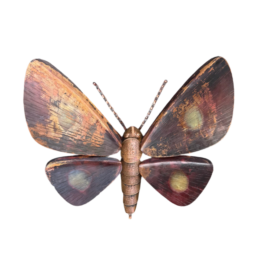 Copper Kawakawa Looper Moth | Smooth Edge Wings