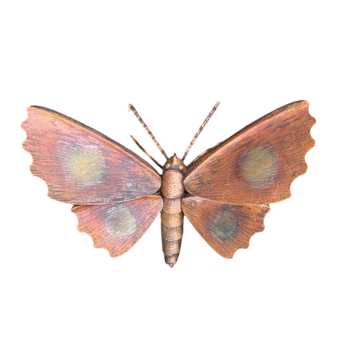 Copper Kawakawa Looper Moth | Frill Wings