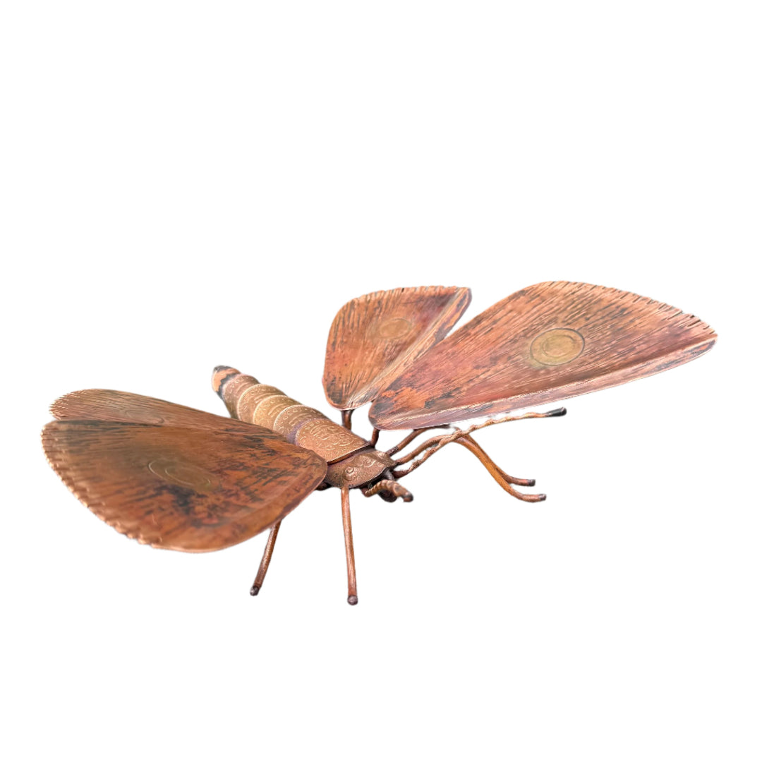 Copper Kawakawa Looper Moth | Notched Wings