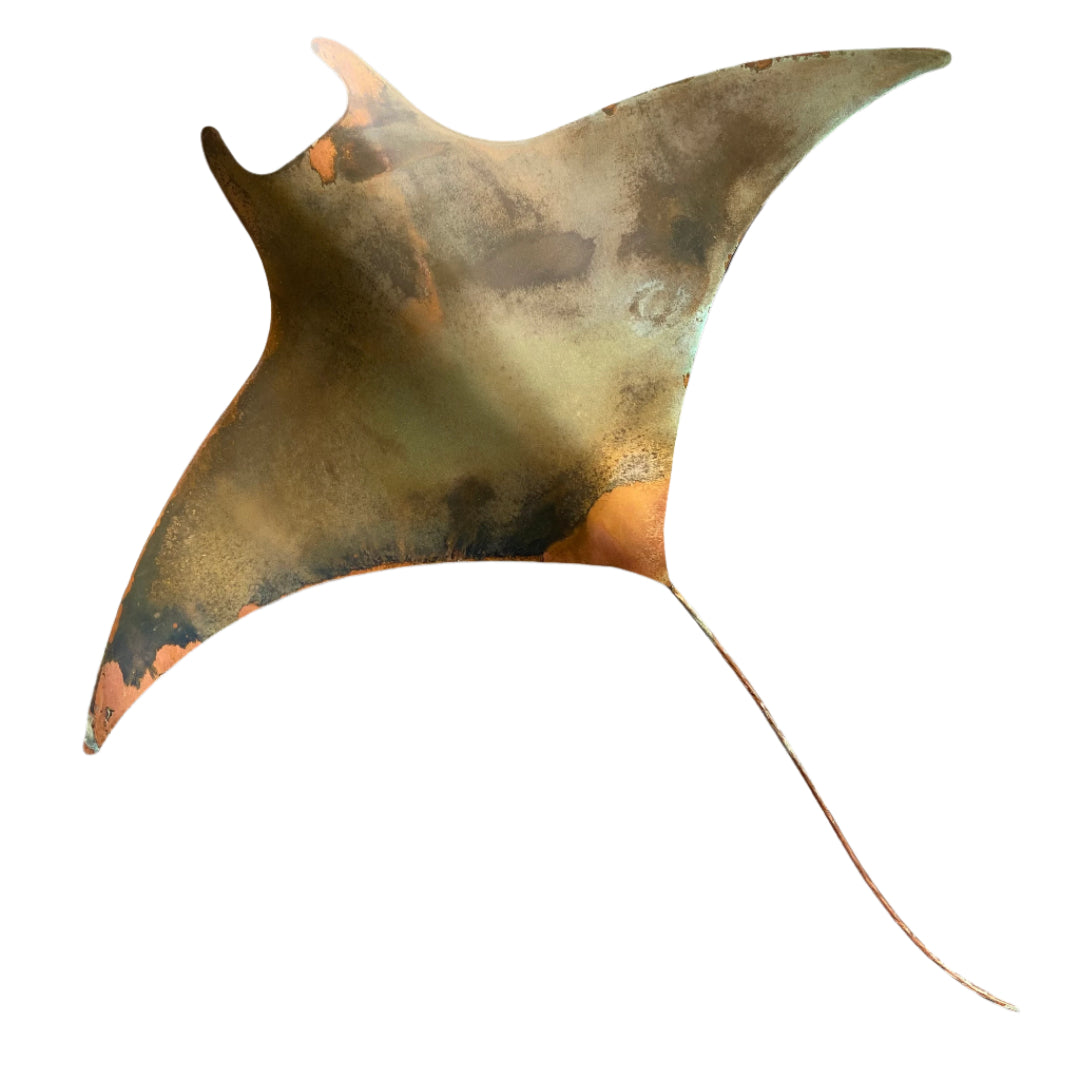 Copper Manta Ray | XL