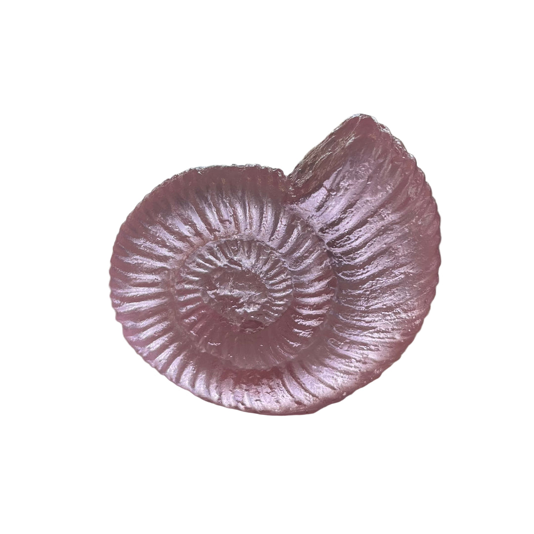 Cast Glass Ammonites