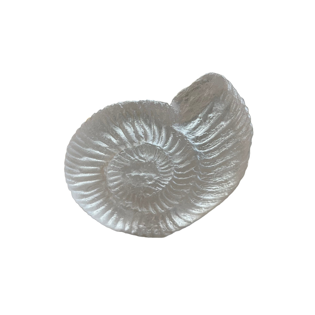 Cast Glass Ammonites