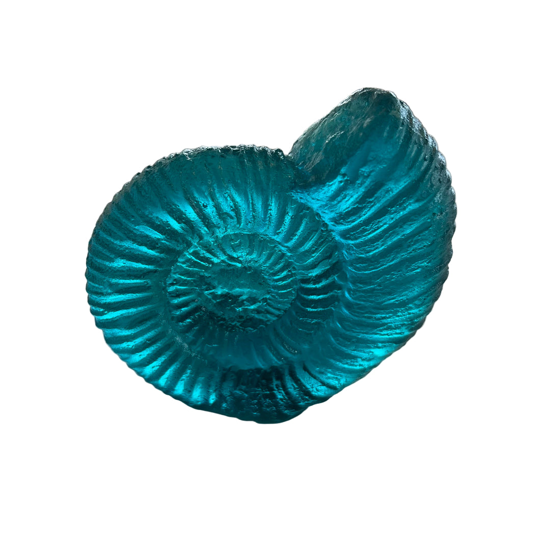 Cast Glass Ammonites
