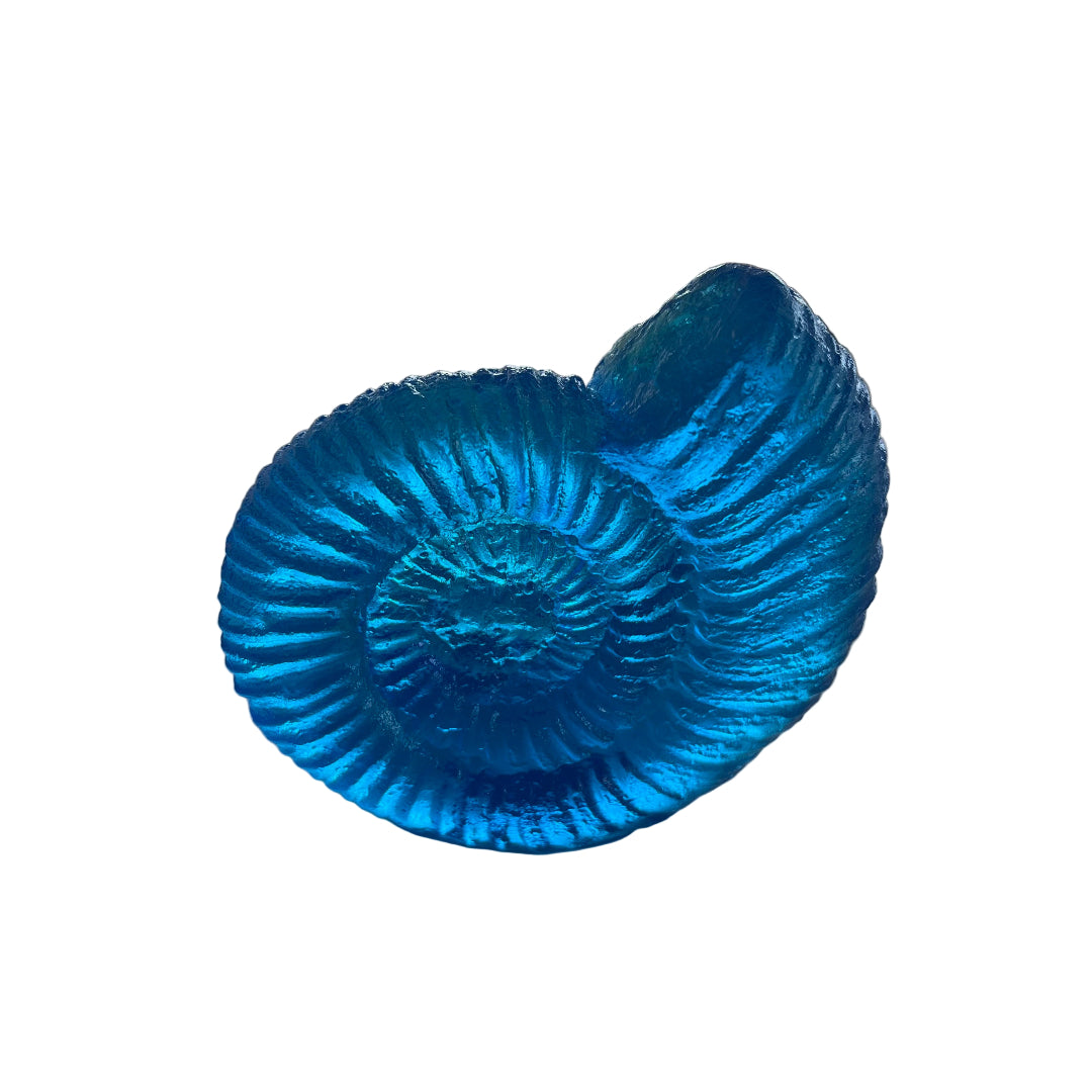 Cast Glass Ammonites