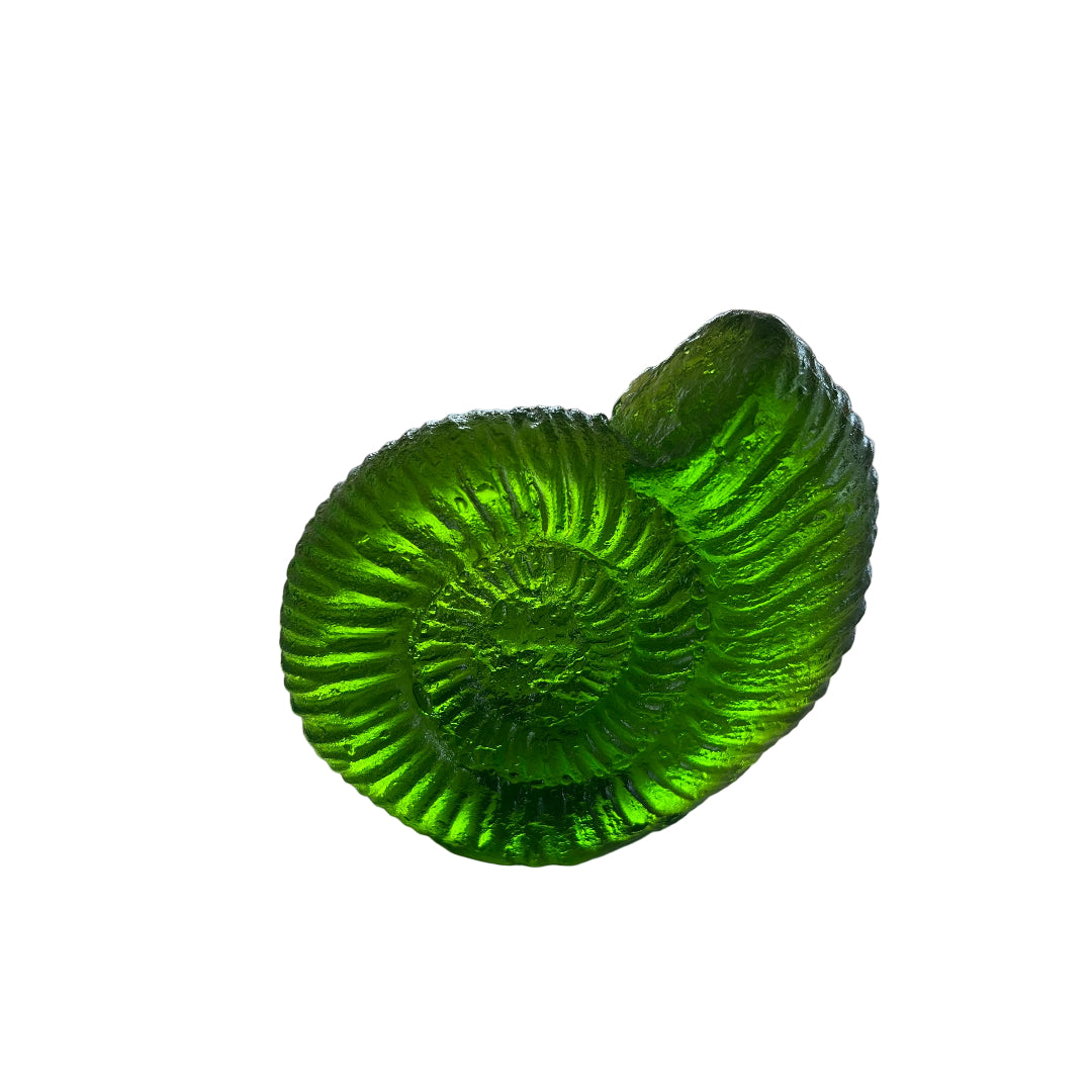 Cast Glass Ammonites