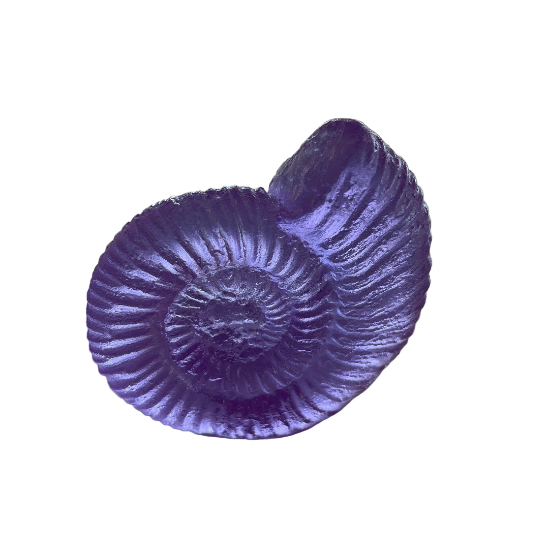 Cast Glass Ammonites
