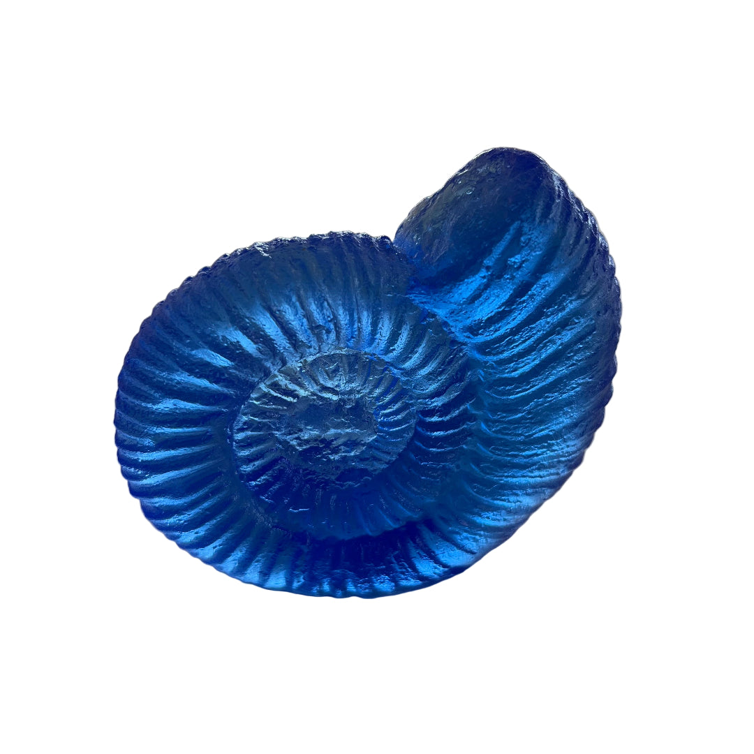 Cast Glass Ammonites