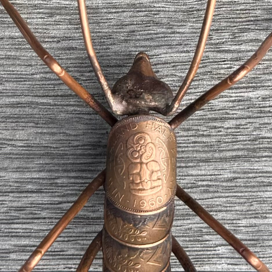 Copper Weta close up with coin body on a wood surface