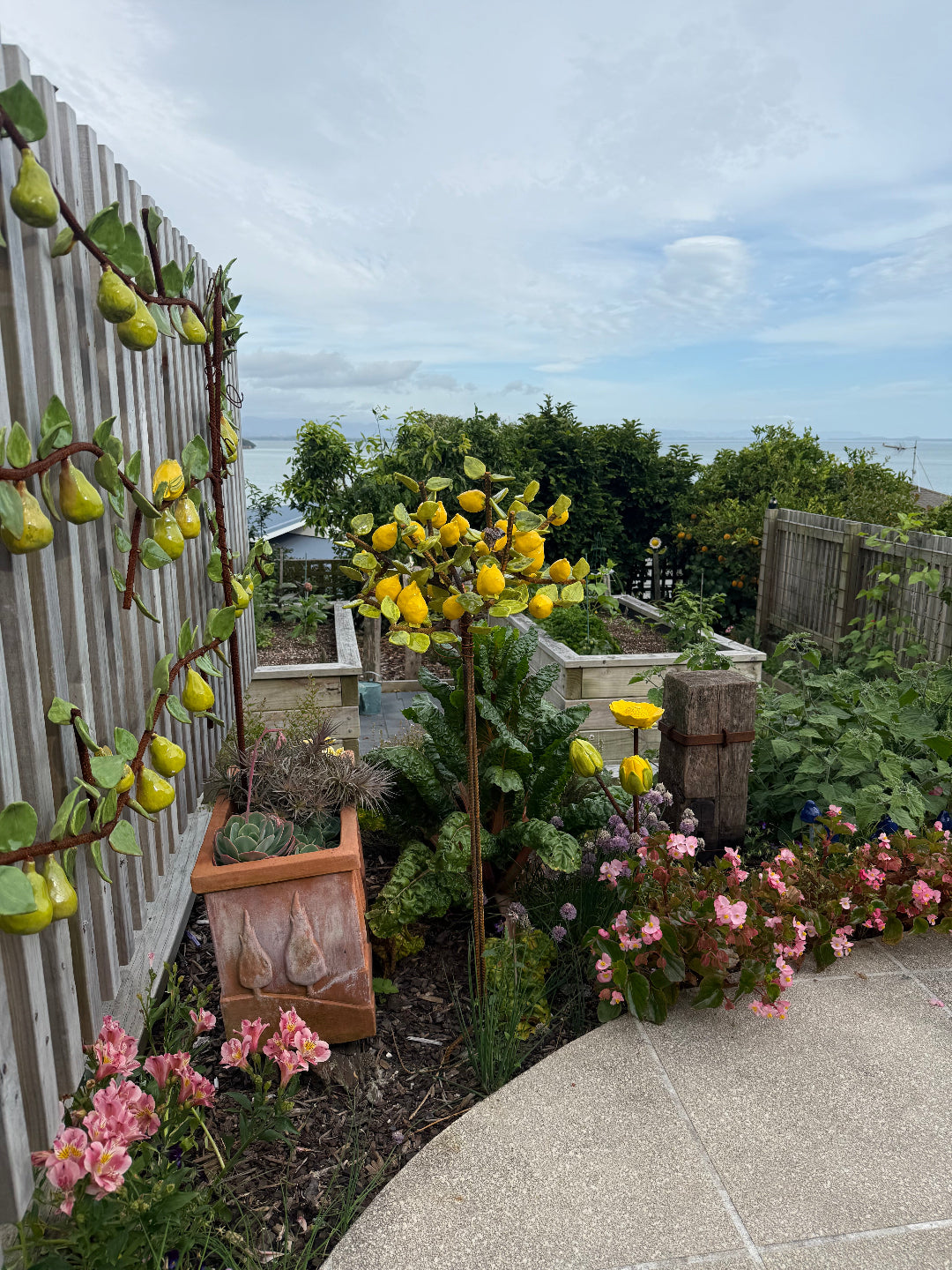 Garden scene with a ceramic espaliered pear tree against a wall.