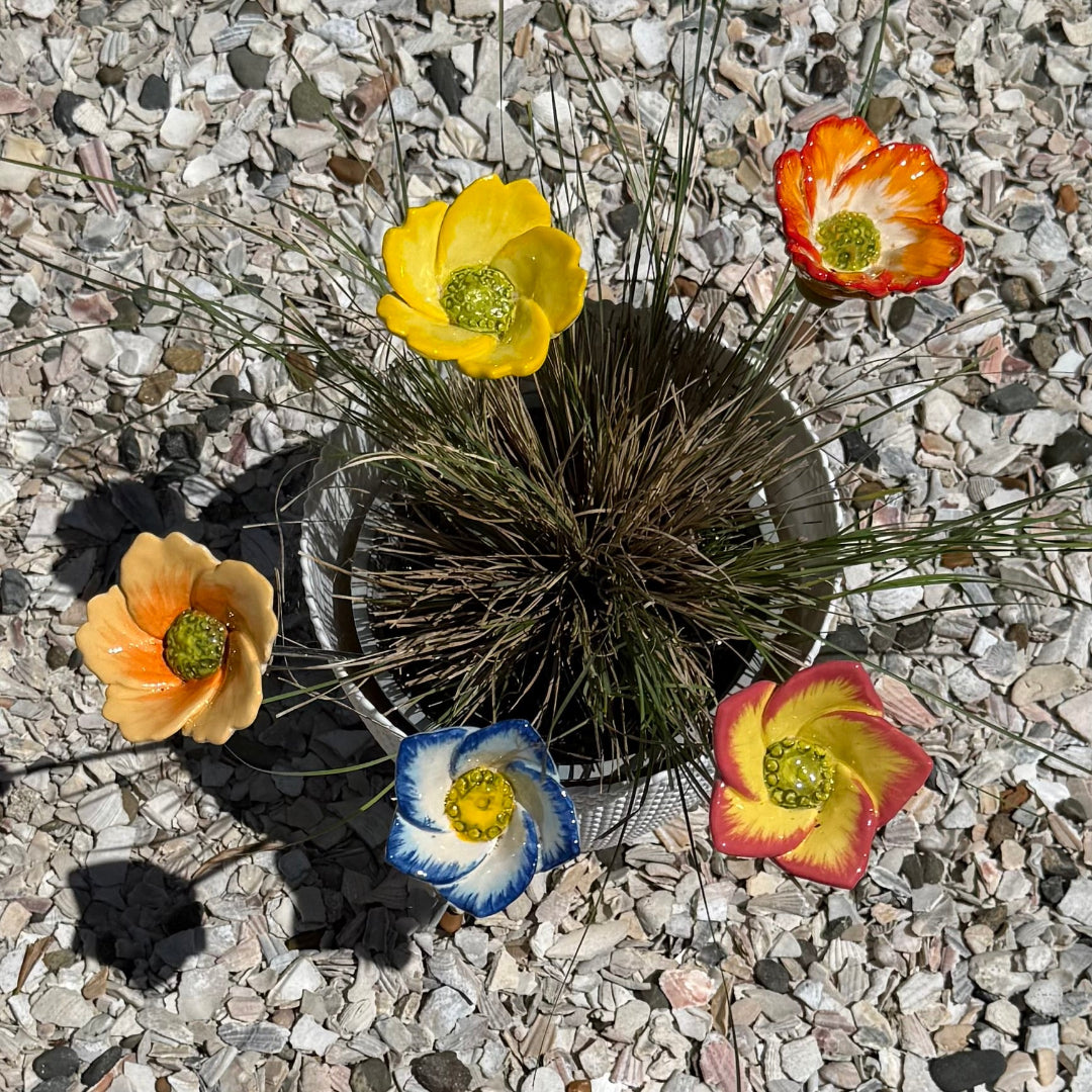 Ceramic Wildflowers arranged around a potted plant on a shell surface