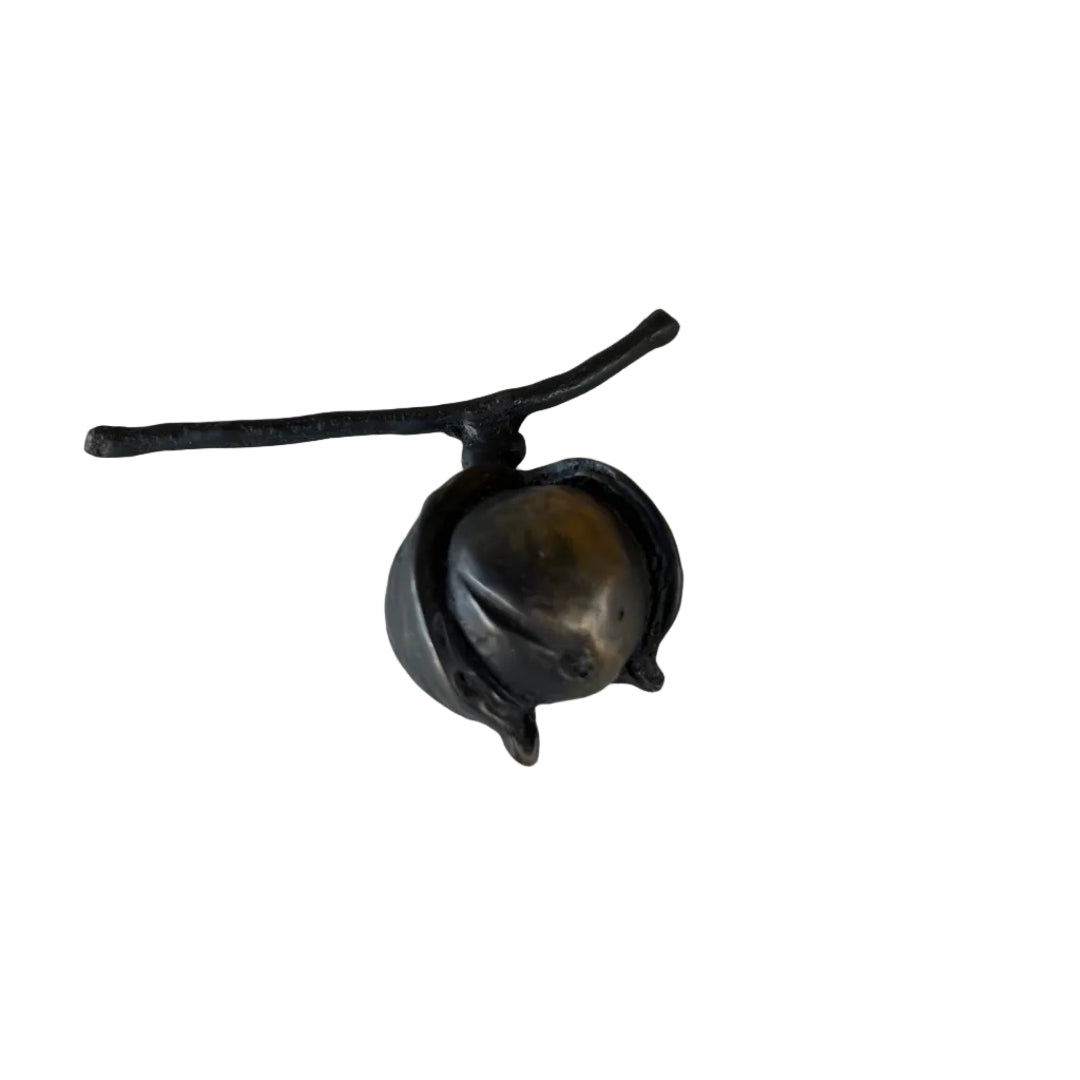 Macadamia Nut | Cast Bronze