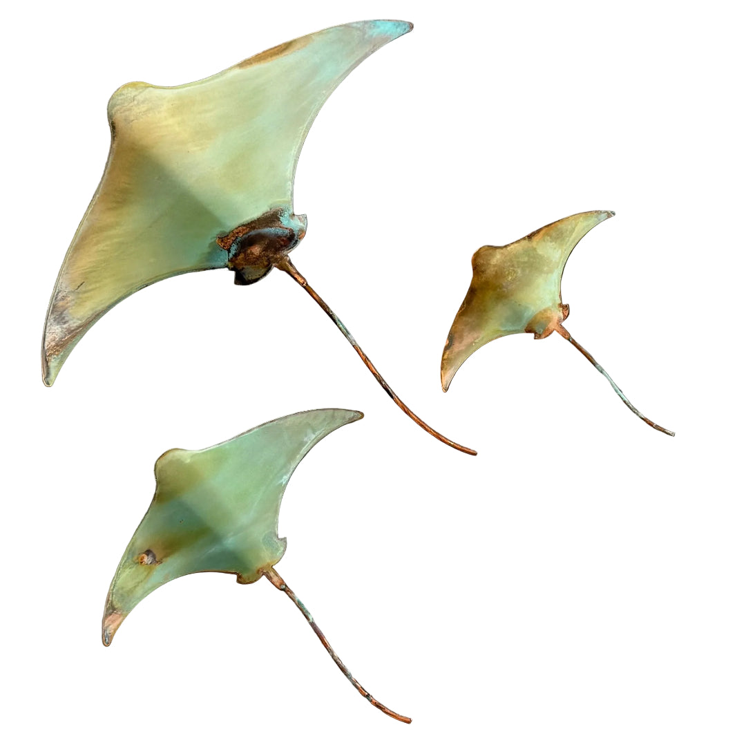 Three copper stingrays on a white surface