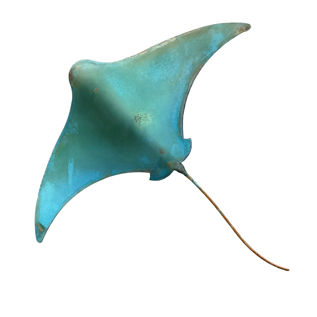 Sea Green copper stingray wall sculpture on a white background