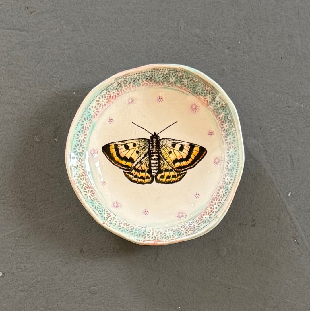 Small decorative plate with a butterfly design on a gray surface