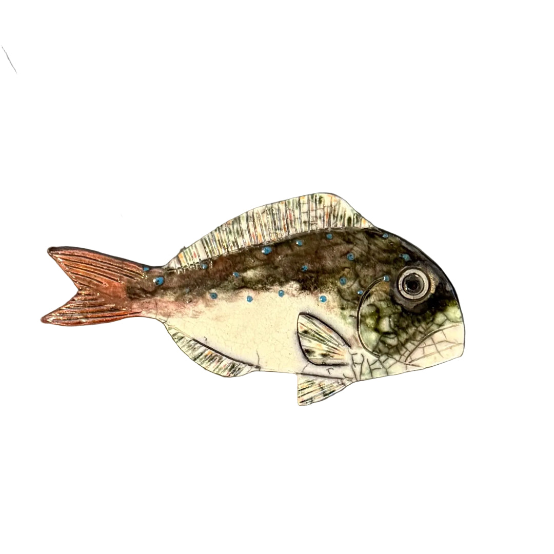 Colourful ceramic Snapper shaped wall tile on a white background