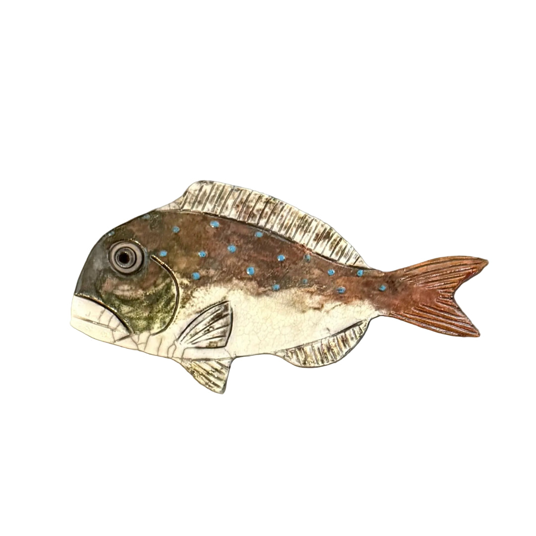 Colourful ceramic Snapper shaped wall tile on a white background