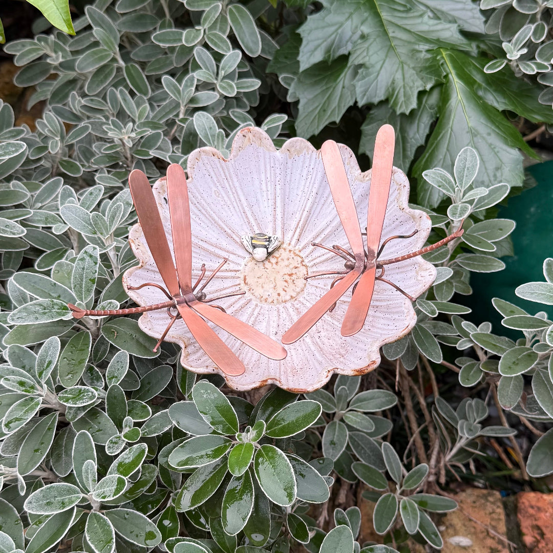 Copper Dragonfly | Small