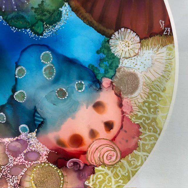 Look Beyond Rock Pool