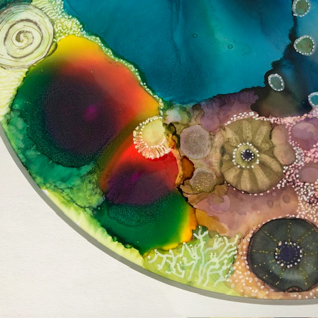 Look Beyond Rock Pool
