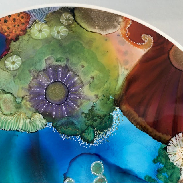 Look Beyond Rock Pool