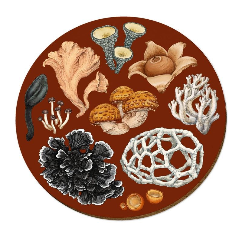 NZ Fungi Placemats