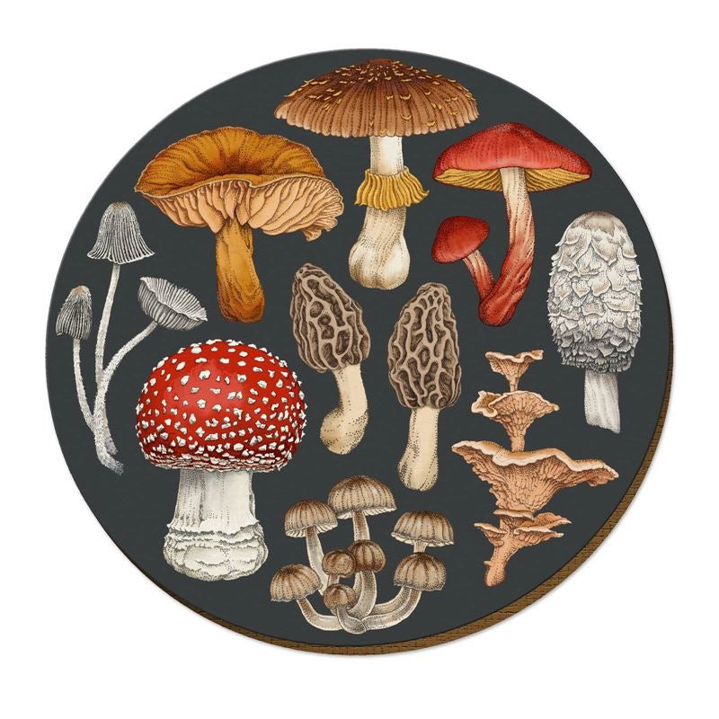NZ Fungi Placemats